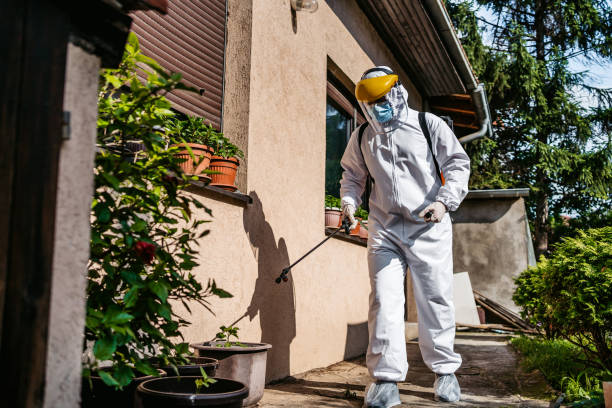 Best Affordable Pest Control Services  in San Bernardino, CA
