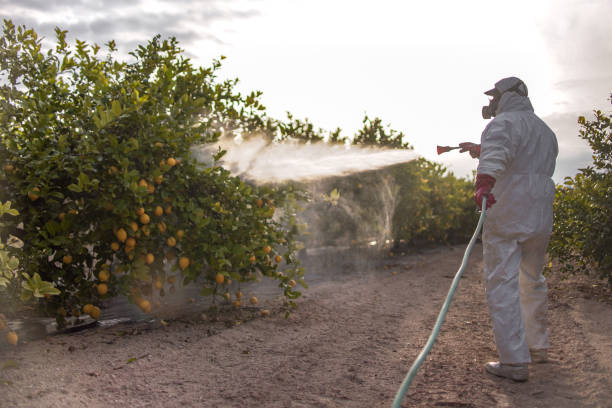 San Bernardino, CA Pest Control Pros