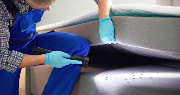 Pest Control for Restaurants in San Bernardino, CA