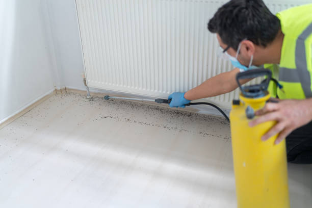 Best Emergency Pest Control  in San Bernardino, CA