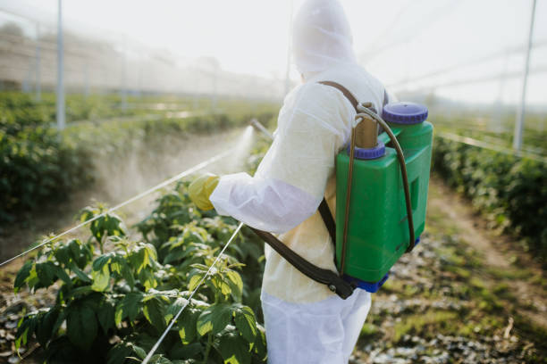 Best Mosquito Control Services  in San Bernardino, CA